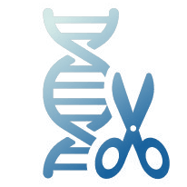 Icon representing CRISPR cas9 genome editing technology.